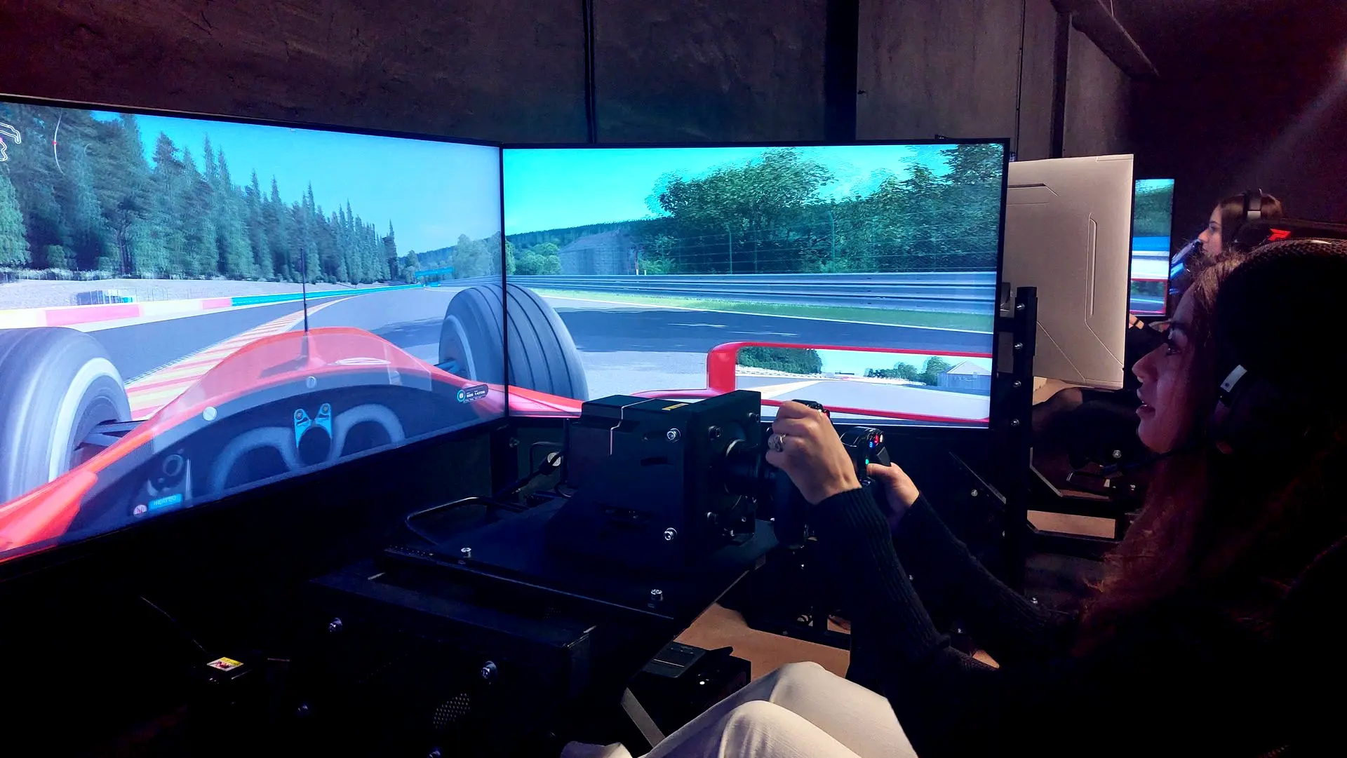 Simulation F1